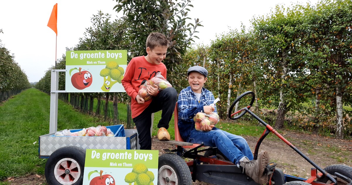 ‘Groenteboys’ Niek (9) en Thom (9) hebben een eigen bedrijfje: ze verkopen groente vanuit hun skelte