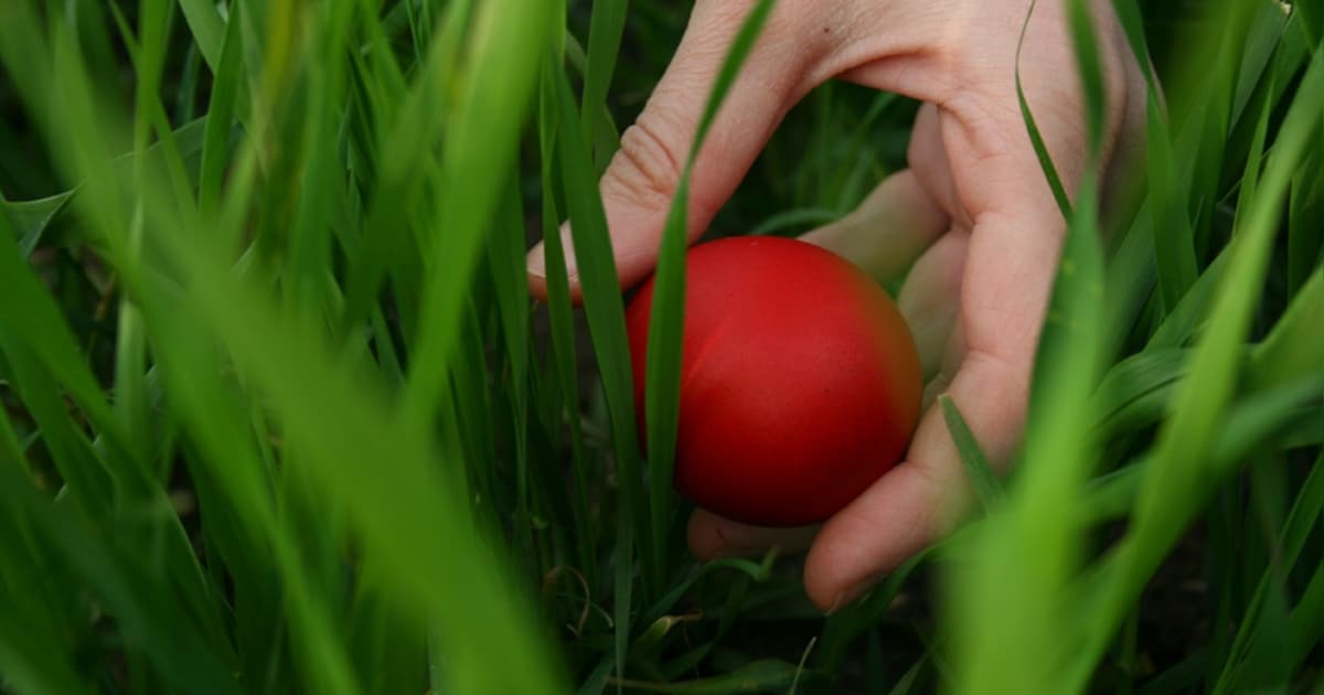 Paaseieren zoektocht bij Zeeuws Fruit Museum in Kapelle