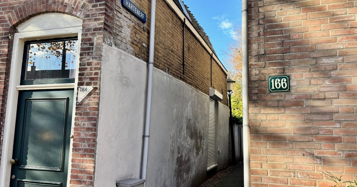 Het Hartenerf zit verstopt in de Goudse binnenstad: dit vind je in het straatje