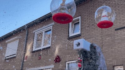 Het is nog lang geen winter, maar in deze voortuin sneeuwt het al: ‘Elk jaar komt er meer bij’