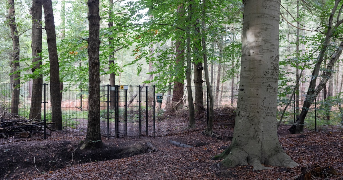 Fietsvrienden houden ‘uitvaart’ voor gesloten fietsroutes op Pijnenburg