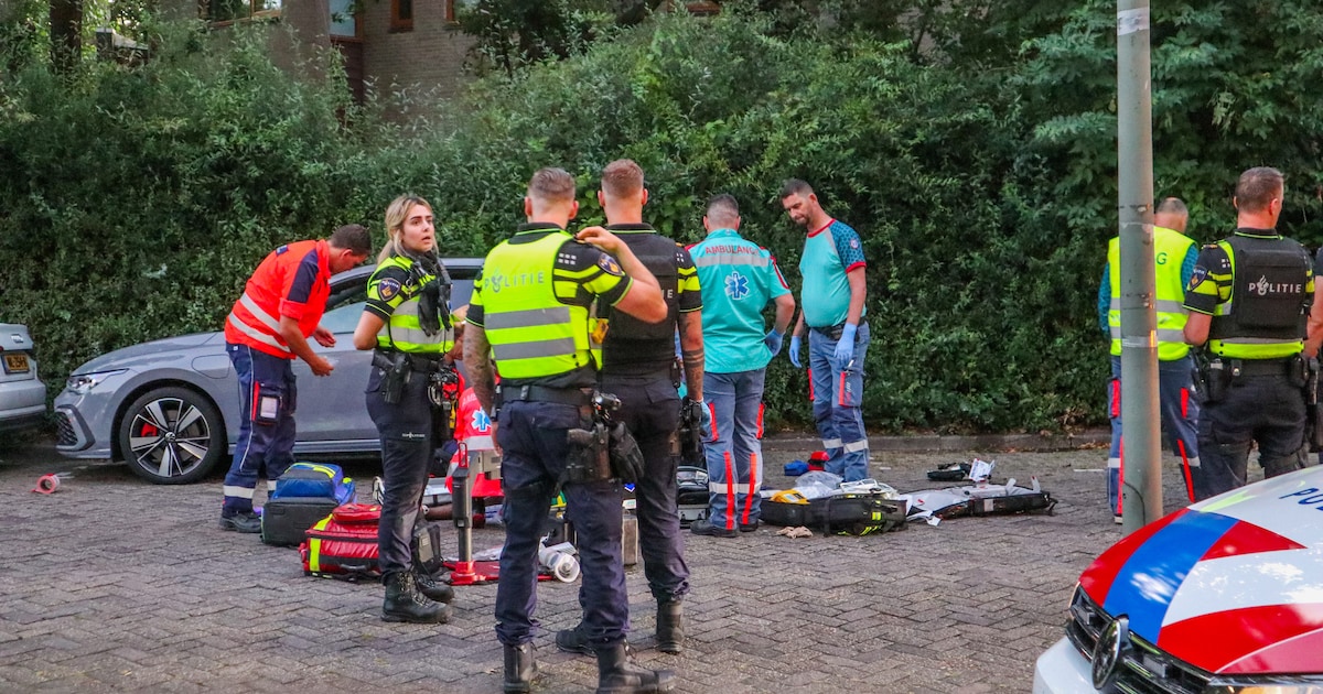 Net toen hij op het rechte pad leek, schoot Schiedammer (17) vriend dood, nu wordt hij als volwassen