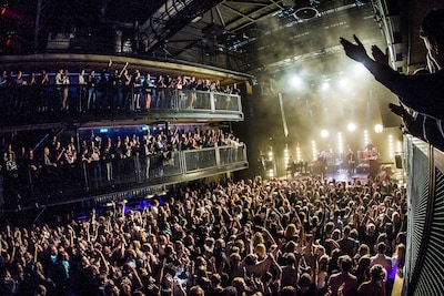 Paard wint prijs voor beste podiumprogramma van het jaar