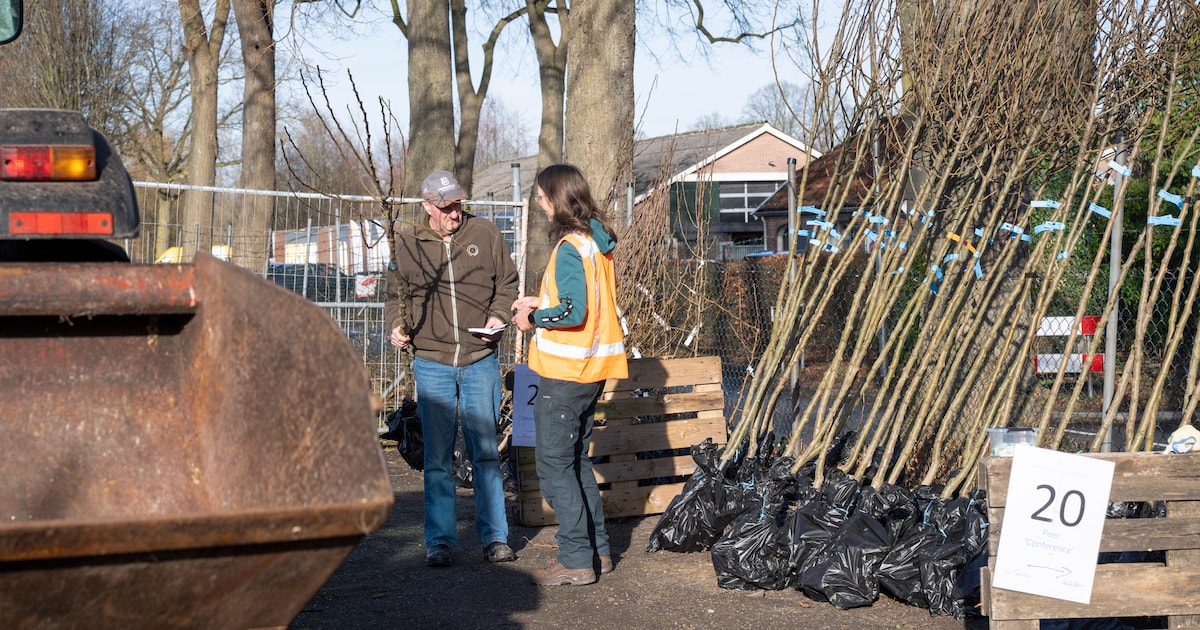 Uitdeelactie in Woudenberg: bezoekers kunnen gratis bomen en struiken ophalen