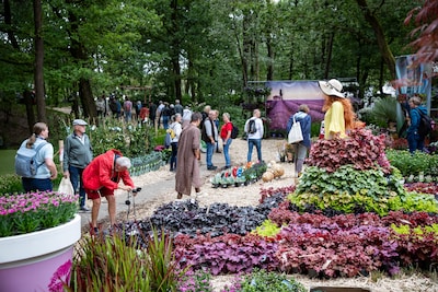 Image related to the article