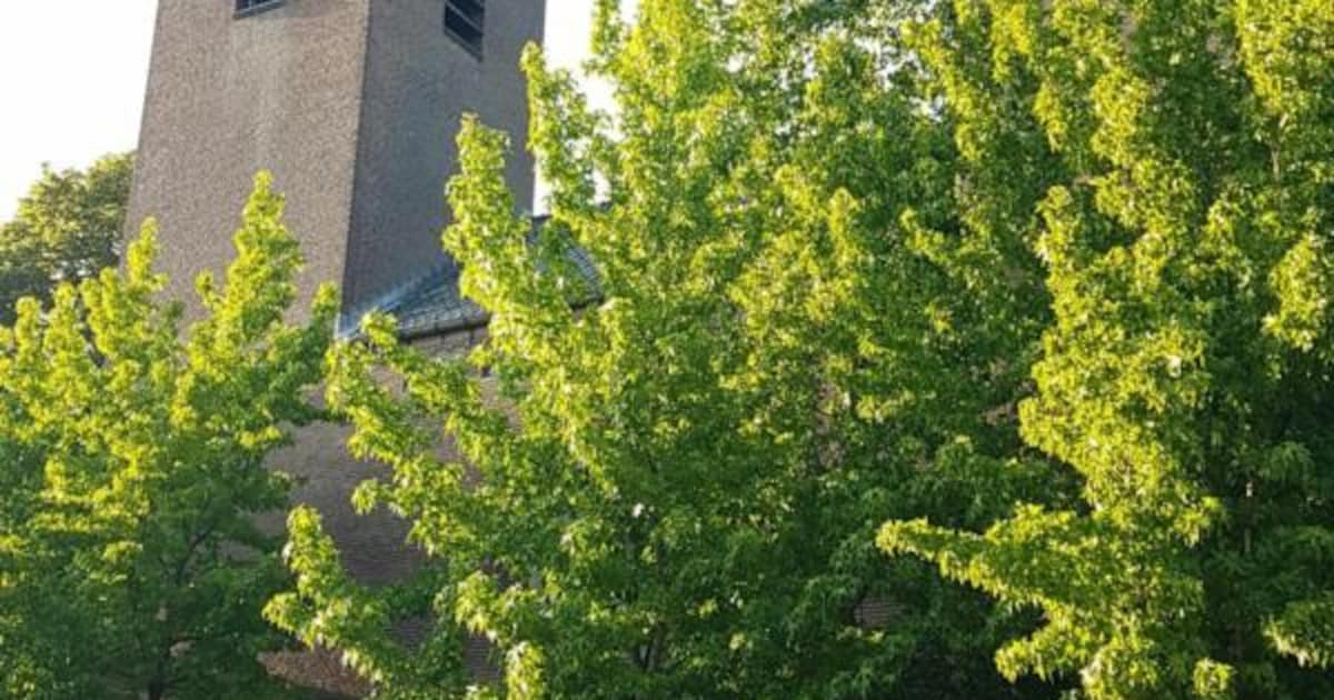 Octaaf bij Bernarduskapel gestart: vieringen en activiteiten tot 27 augustus
