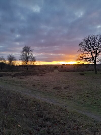 Avondwandeling bij natuurcentrum De Ginkel in Ede