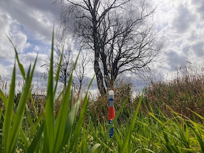 Image related to the article