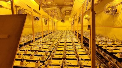 Politie vindt grote hennepkwekerij in bedrijfshal Losser