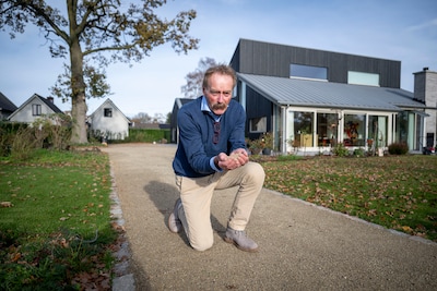 Image related to the article