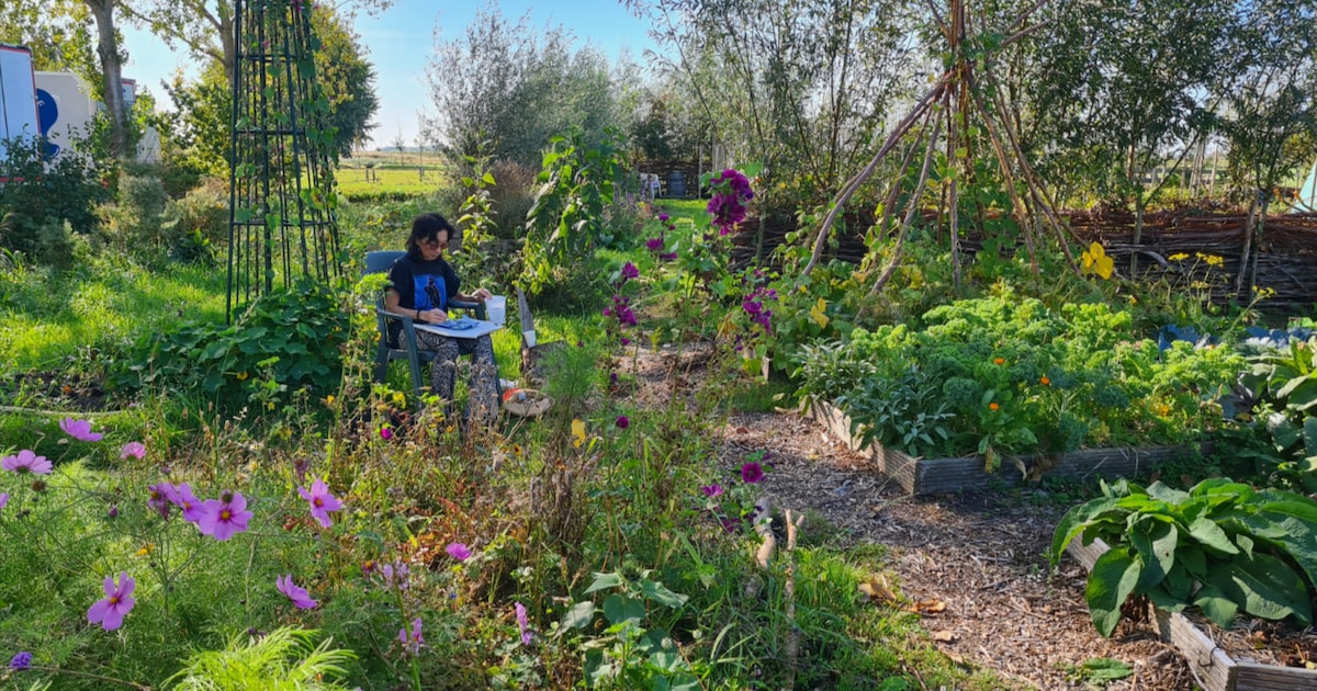 Midden-Delfland Dag brengt landschap tot leven