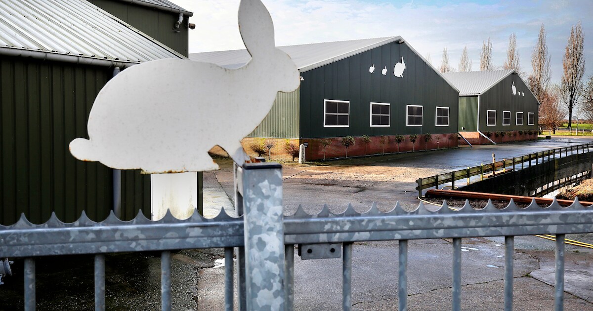 Voor- en tegenstanders konijnenfok de straat op in Leerbroek