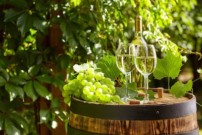 Wine, bites and jazz: you don't want to miss this wine festival near Haarlem