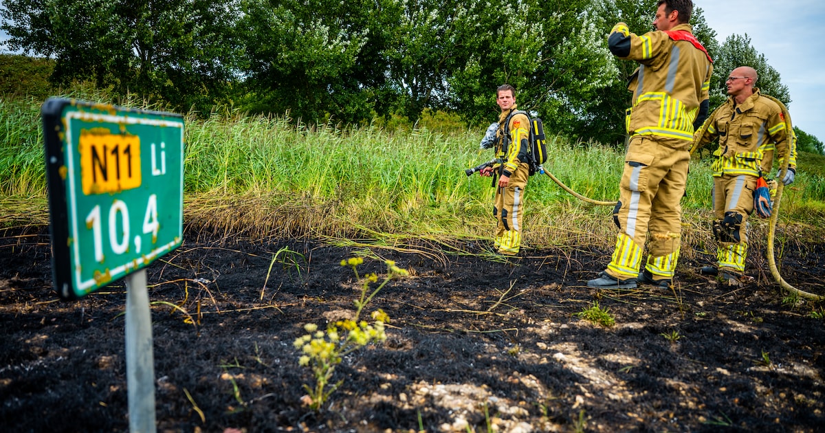 Brandweer blust bermbrand langs N11 in Alphen aan den Rijn