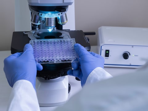 Beeld ter illustratie.