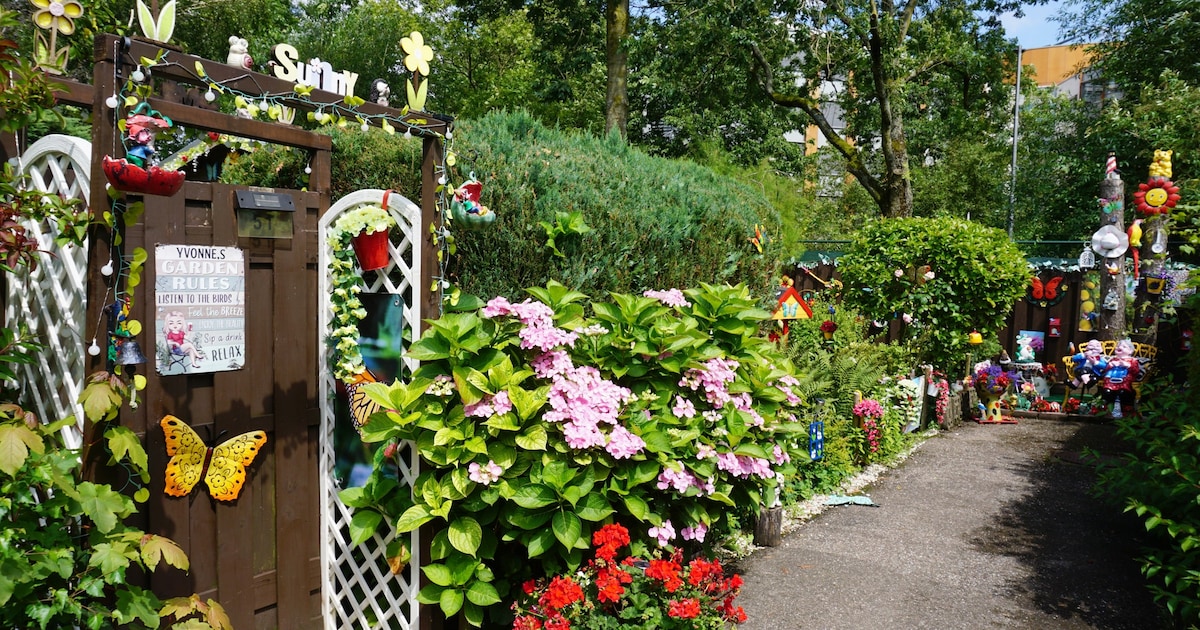 Volkstuinen Anna Paulowna open voor bezoekers: gratis rondleiding en kinderactiviteiten