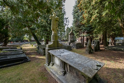 Image related to the article