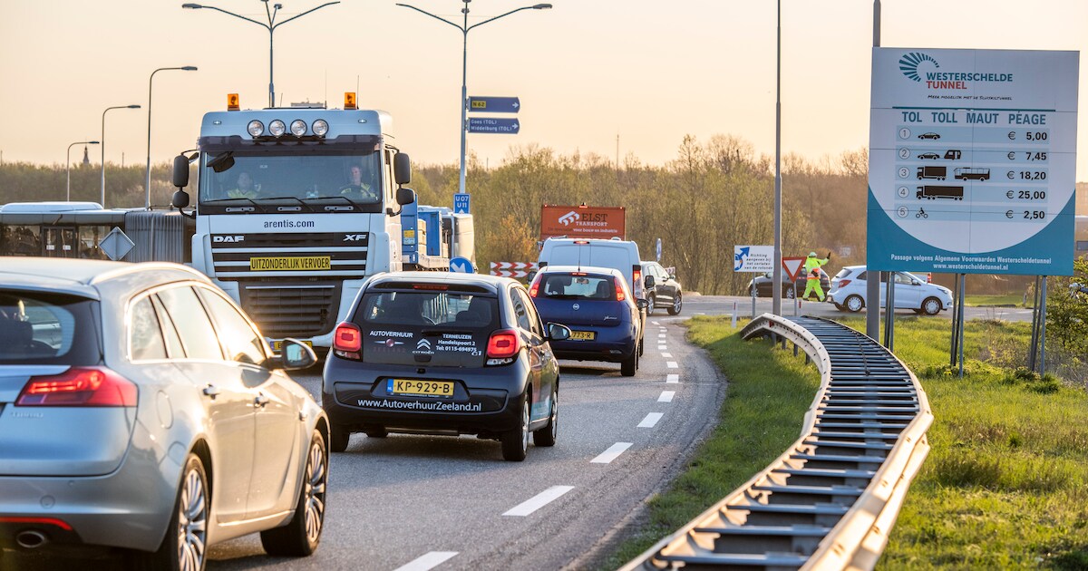 Slachtafval op de A7 zorgt voor vertraging bij Tjalleberd: 'Het stinkt’