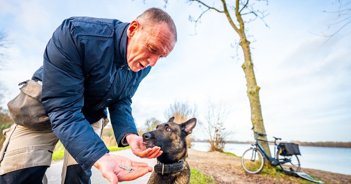Burgemeester Erik van Heijningen traint 20 uur per week met hond Njura: ‘Ze is een cadeau in mijn le