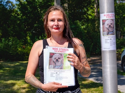 ‘Je hond ligt op de barbecue’: wrede telefoontjes maken zoektocht naar vermiste Nugget pijnlijk voor Lilly