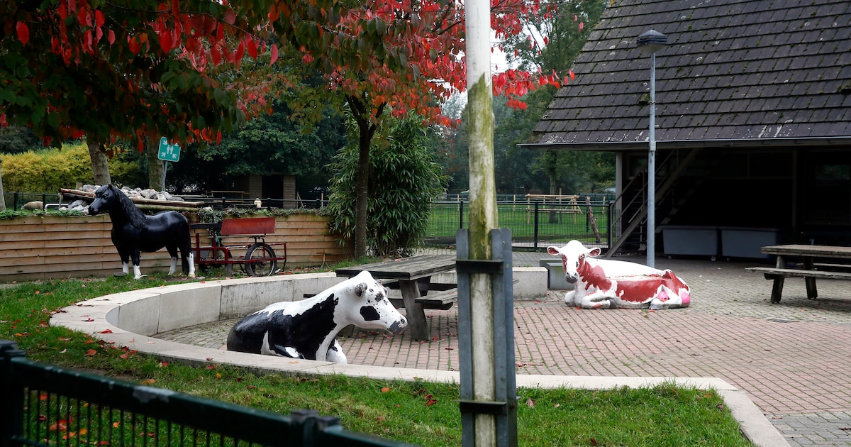 Gemeente Sliedrecht denkt mee over speeltuin De Woeste Weide en organiseert inloopmiddag voor ideeën