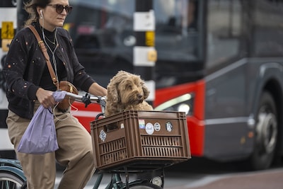Zo overschat je jezelf op de fiets: waarom we vooral naar anderen kijken