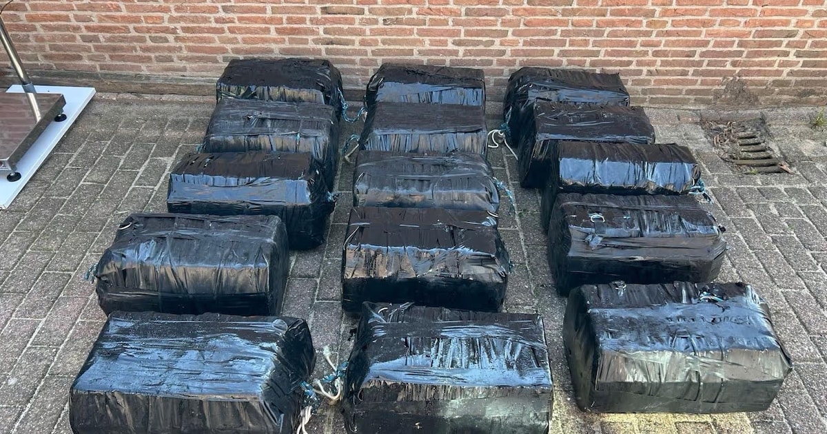 Honderden kilo’s cocaïne onderschept bij Neeltje Jans, vijf mannen aangehouden