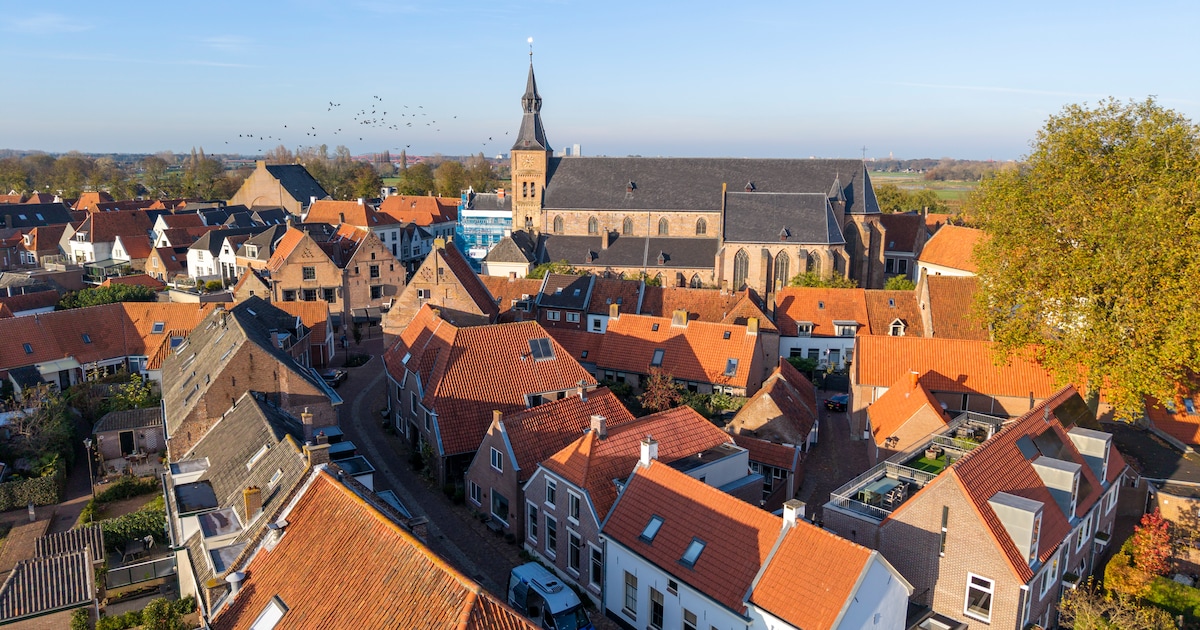Gratis mee met stadsgids in Hattem vanwege internationale dag