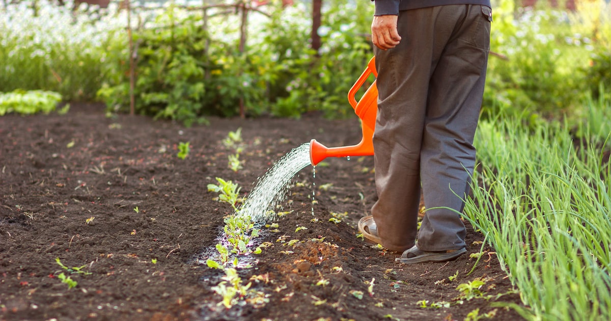 IVN-lezing over optimaliseren van leefgebieden voor flora en fauna op erf of tuin