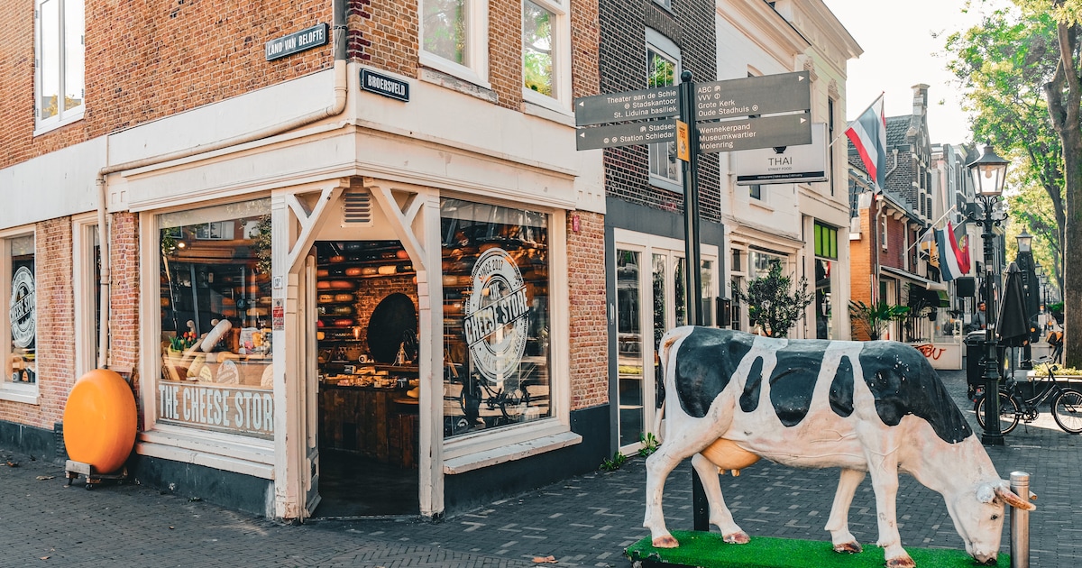 We love cheese! 3 x hier in Schiedam haal je kaas