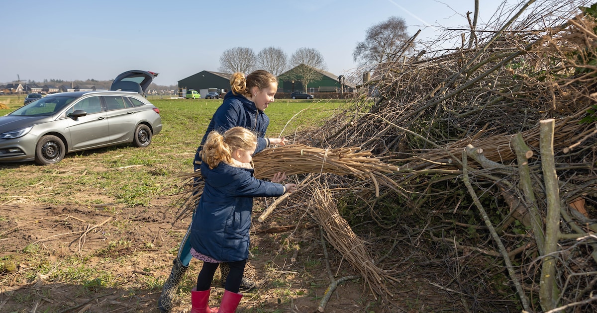 Buurse bouwt aan paasbult: inwoners kunnen vanaf zaterdag snoeihout brengen