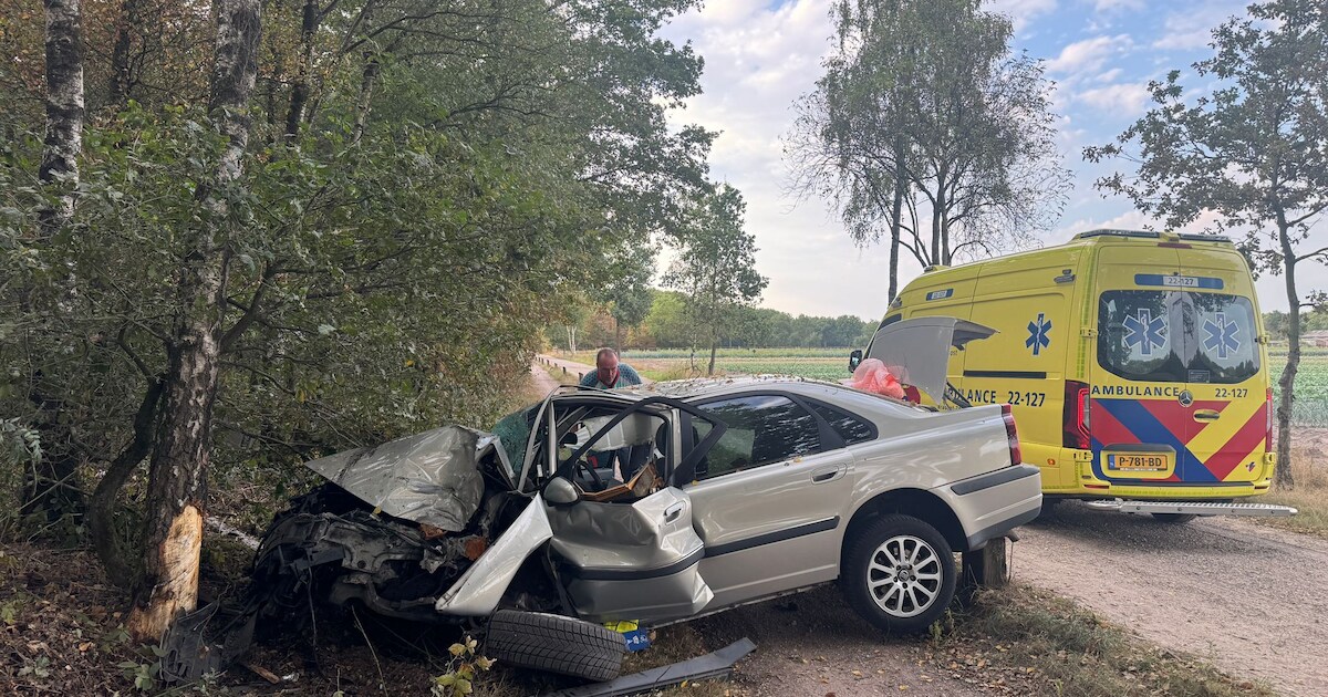 Man en vrouw gewond bij ongeval in Gemert: automobilist botst tegen paal en boom