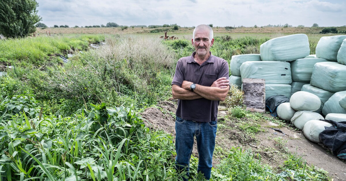 Groessense boer en gemeente Duiven strijden over gras in voerkuil, rot het weg of niet?