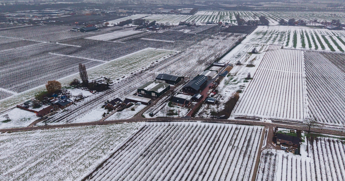 Rondom boerderij De Rijnsloot in Cothen is plek voor 200 huizen, maar: ‘Wij zullen niet bij het krui