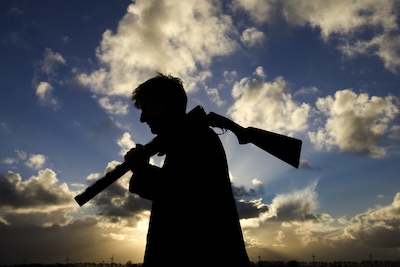 Er is een wolf doodgeschoten, maar waarom duurt het zolang tot we weten dat het om Bram gaat?