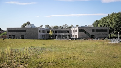 Image related to the article