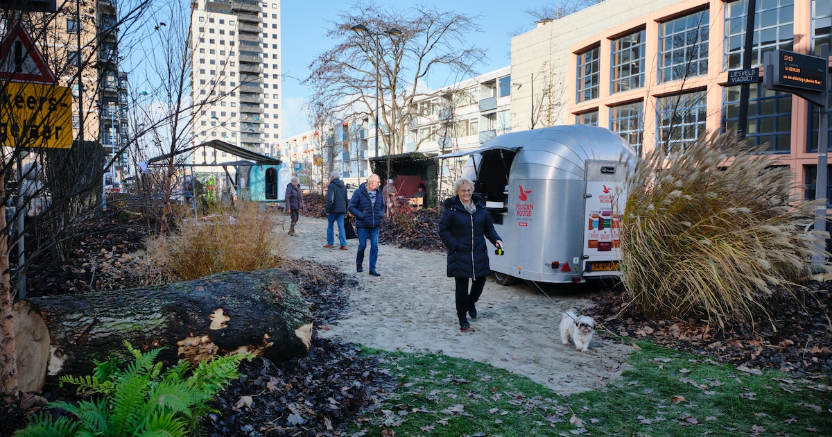Lezers verdeeld over sluiten Liesveldviaduct en plannen voor stadspark