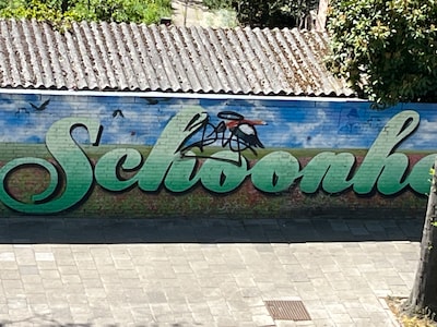 Ton baalt van graffiti, Hannie is de zorg dankbaar