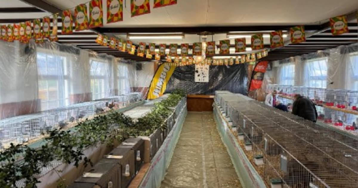 Kleindierensportvereniging houdt clubshow in Tilligte