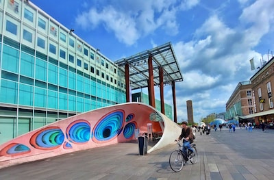 Image related to the article