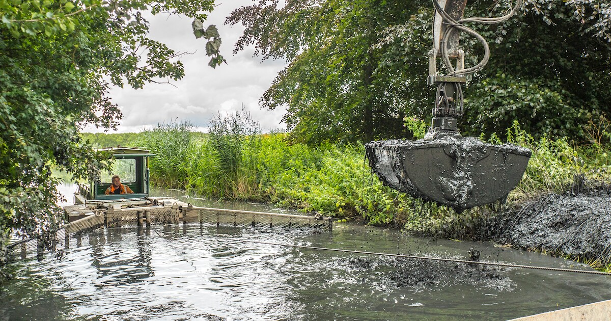 Delftse Hout weer helemaal uitgebaggerd