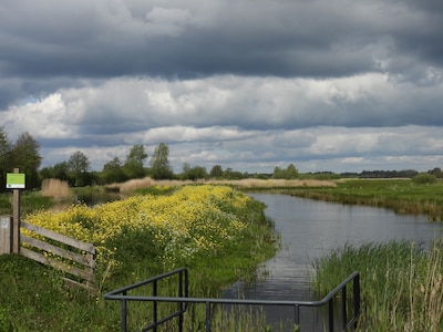 Binnenveldse Hooilanden wandeling bij Bennekom