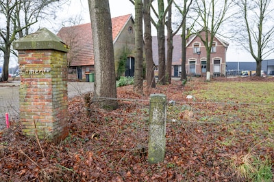 Image related to the article