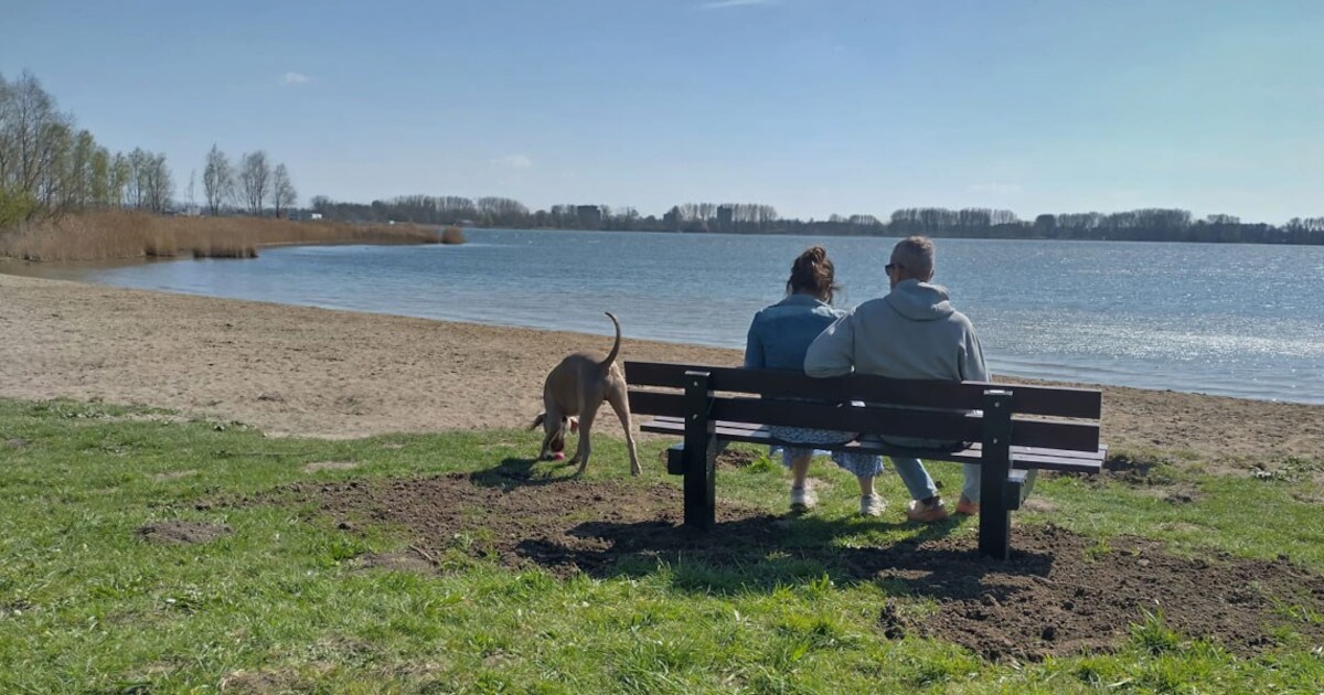 Subsidie beschikbaar voor activiteiten in Landschapspark De Rotte ...