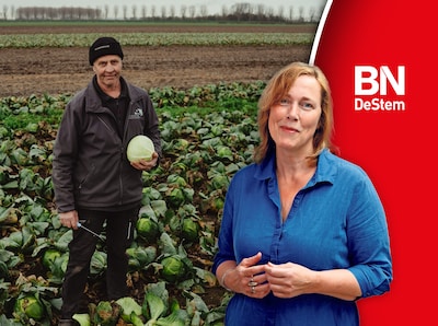 Kolen afpellen om ze verkocht te krijgen, wat een waanzin