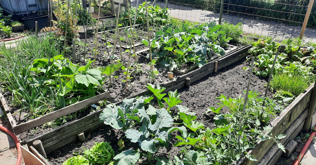 ‘Soms gaat er wel eens iets mis, maar ook dan moet je van de tuin blijven genieten’
