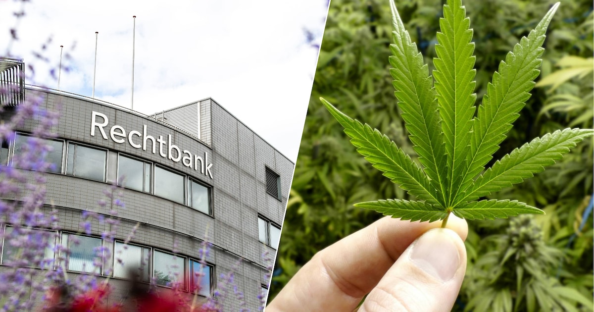 Werkstraffen voor mannen achter wietkwekerij in Goes: 100 en 200 uur