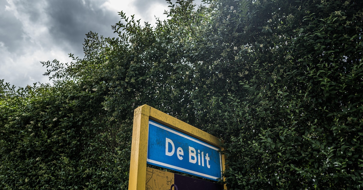 Historische verenigingen staan met kraam op verlate zomermarkt in De Bilt