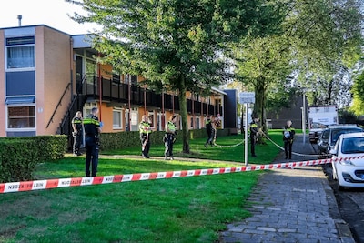 Image related to the article