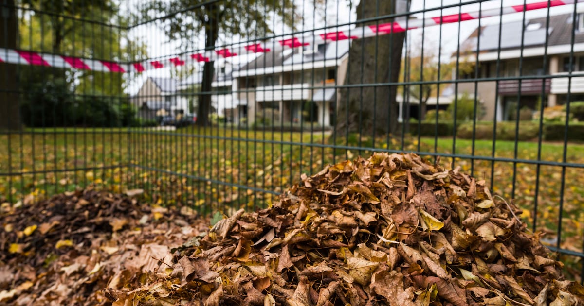 Gemeente Gilze en Rijen plaatst deze week 250 bladkorven